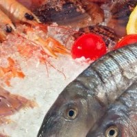 Todo lo que necesitas saber sobre los pescados y mariscos.